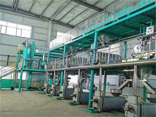 1tph palm oil press plant project