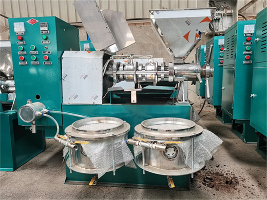 sunflower oil extraction machine cooking peanut oil press in Congo