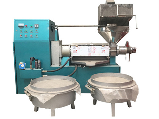olive oil press 6yl 80 global sources