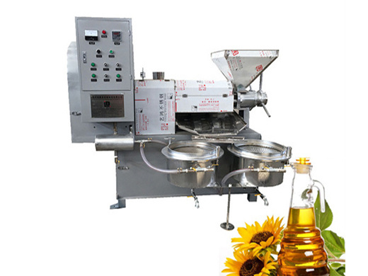 rice bran oil press machine soybean oil expeller automatic in South Africa
