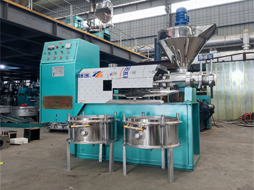 hydraulic type soybean oil press in South Africa