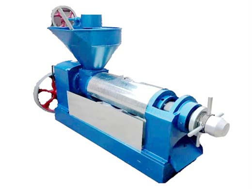 upgrade peanuts rapeseed rice bran seed oil press machine in South Africa